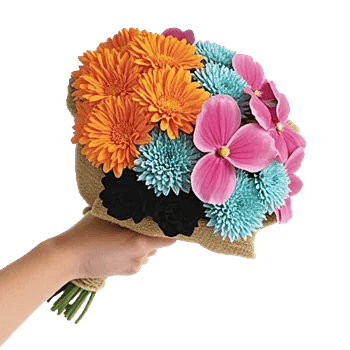Petal Harmony Bliss