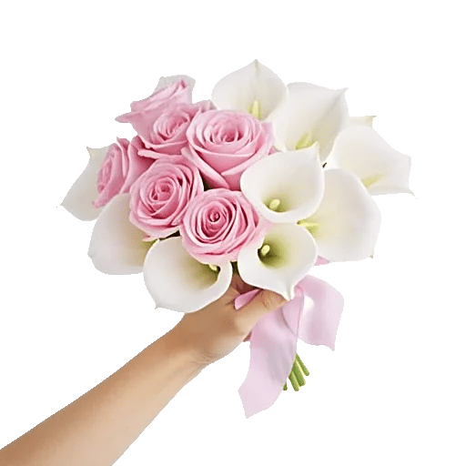 Pastel Pink Roses
