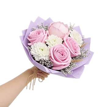 Pink Pastel Roses