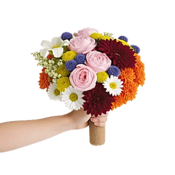 Blossom Harmony Display