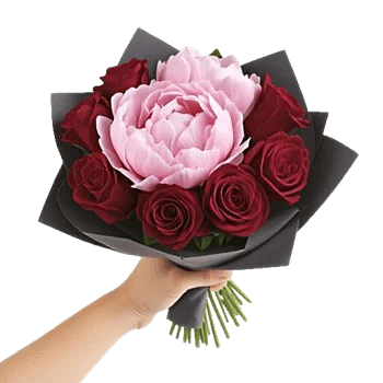 Peony Petal Harmony