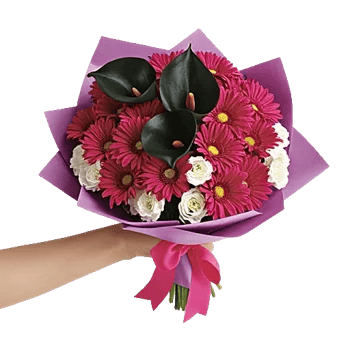 Elegant Calla Lilies