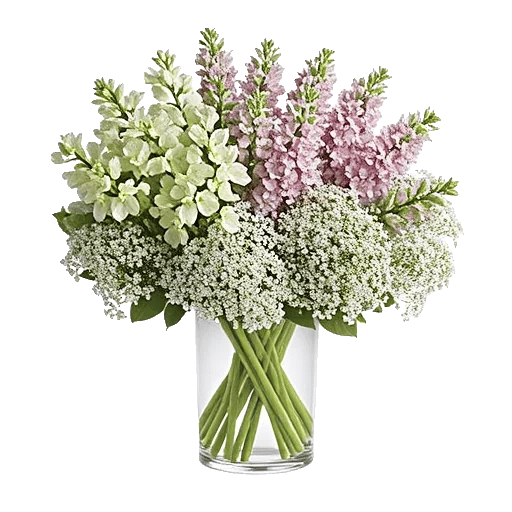 Ivory Blossom Radiance