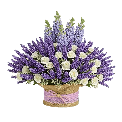 Lavender Bloom Grace