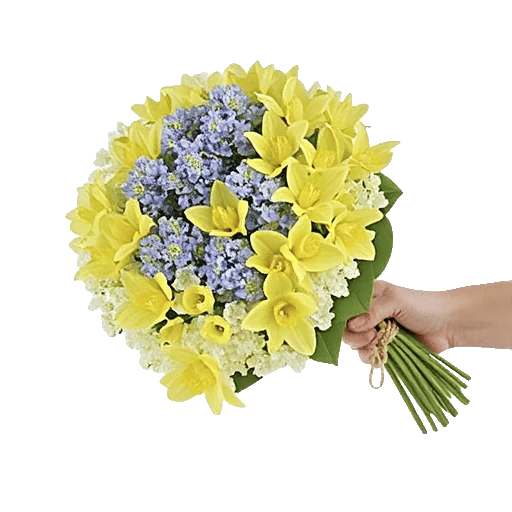 Blossom Harmony Display