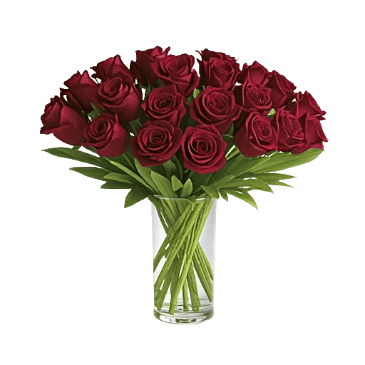 Crimson Rose Elegance