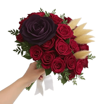 Blushing Rose Symphony