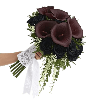 Elegant Calla Lilies