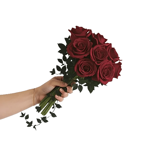 Crimson Rose Elegance