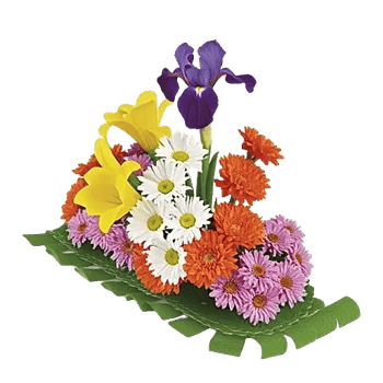 Graceful Lily Display