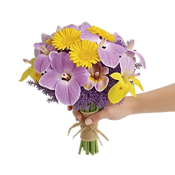 Blossom Harmony Display