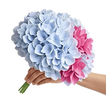 Serene Petal Harmony