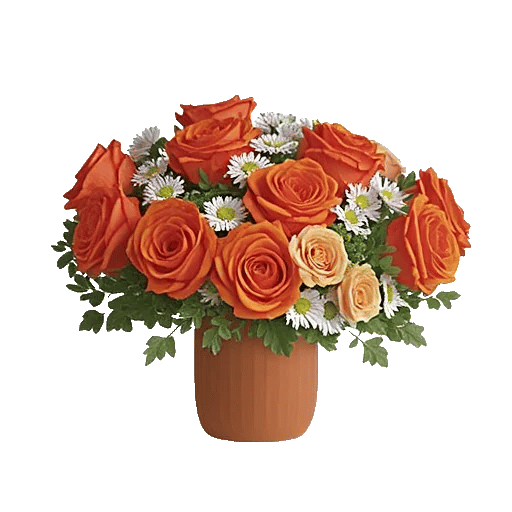 Petal Radiance Bliss