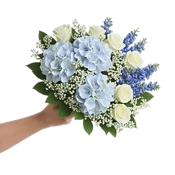 Serene Petal Harmony