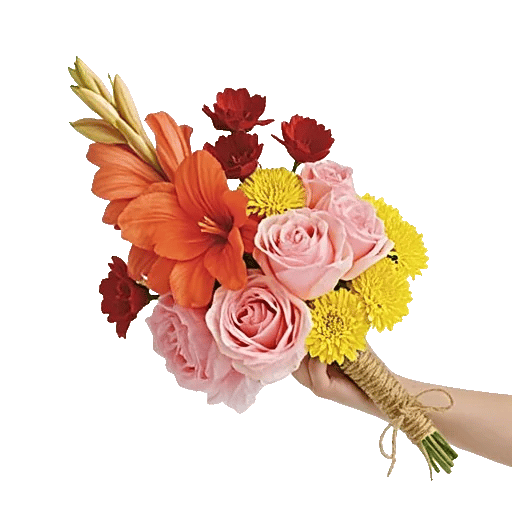 Petal Radiance Bliss