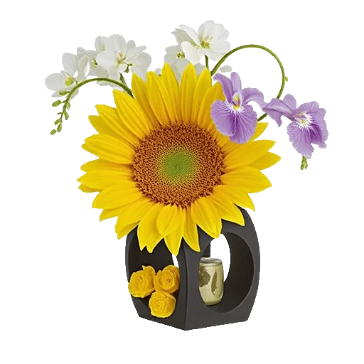 Radiant Bloom Cascade