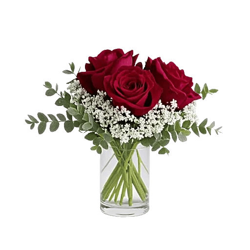 Crimson Rose Elegance