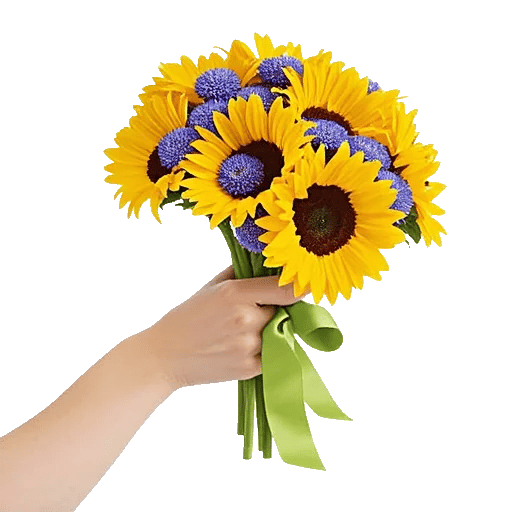 Twinkling Sunflower Dance