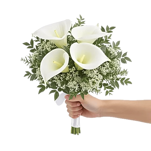 Elegant Calla Lilies