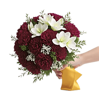 Plum Blossom Radiance