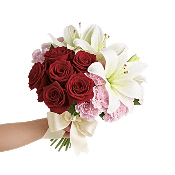 Crimson Rose Elegance