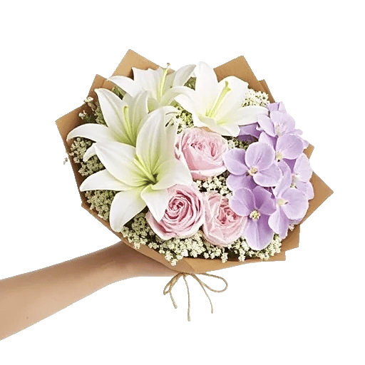 Ivory Blossom Radiance