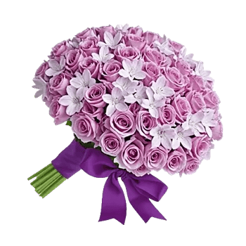 Honeyed Lilac Dream