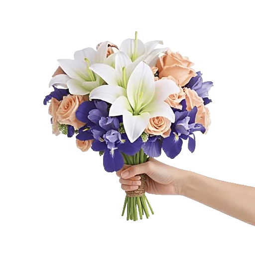 Ivory Blossom Radiance