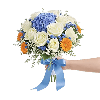 Serene Petal Harmony