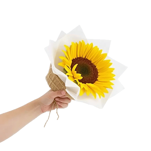 Amber Sunflower Glow