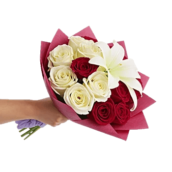 Crimson Rose Elegance