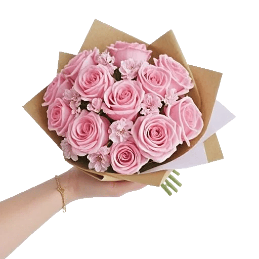 Pink Pastel Roses