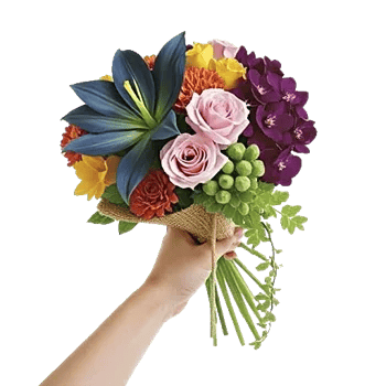 Serenity Orchid Bloom