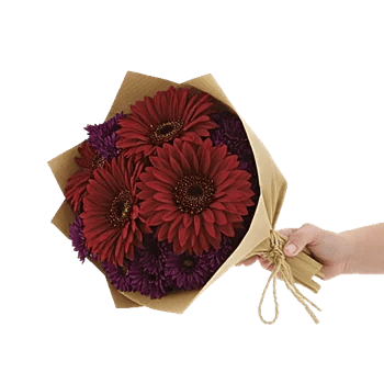 Crimson Blossom Harmony