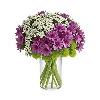 Ivory Blossom Radiance