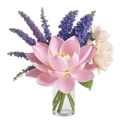 Petal Radiance Bliss