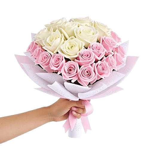 Pastel Pink Roses
