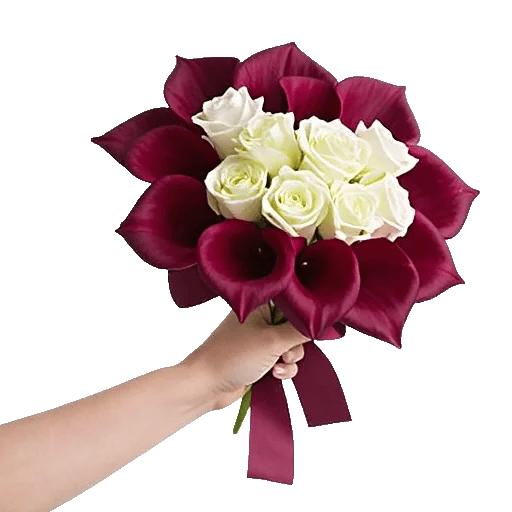 Elegant Calla Lilies