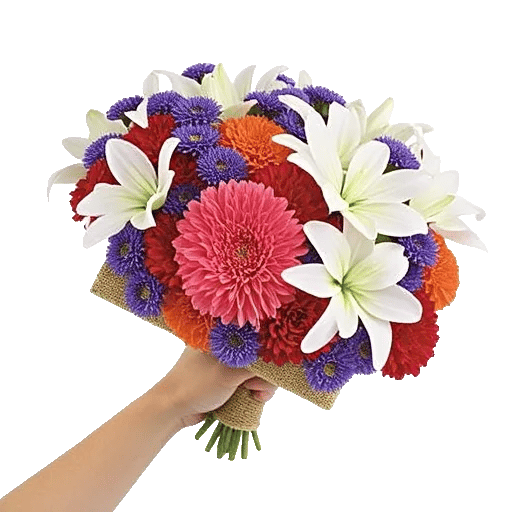 Coral Blossom Harmony