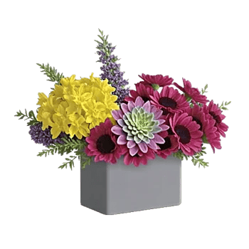 Minimalist White Orchids