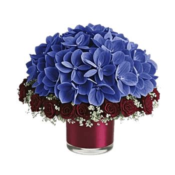 Sapphire Bloom Whisper