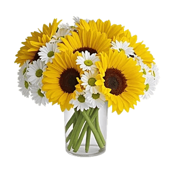 Radiant Bloom Cascade