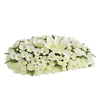 Ivory Garden Grace
