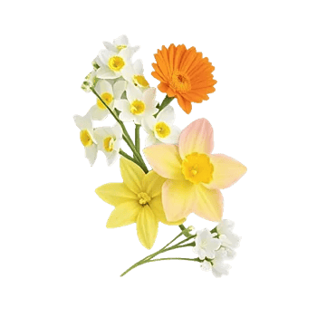 Ivory Blossom Radiance