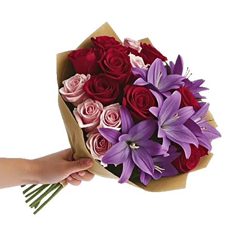 Blushing Rose Symphony