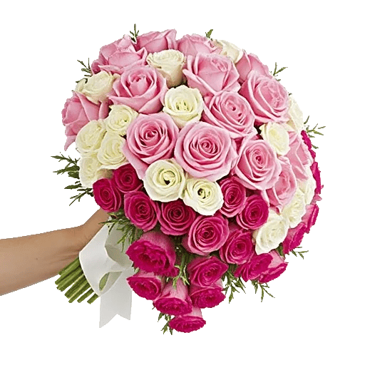 Blushing Rose Symphony