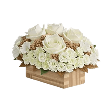 Delicate Petal Cascade