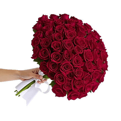 Crimson Rose Elegance