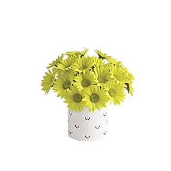 Velvet Tulip Display