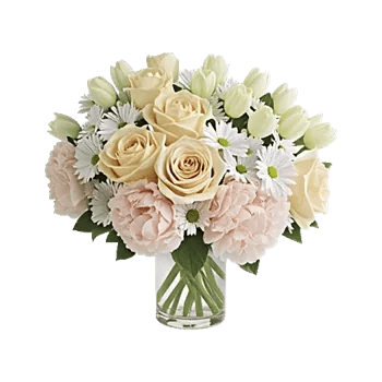 Ivory Blossom Radiance